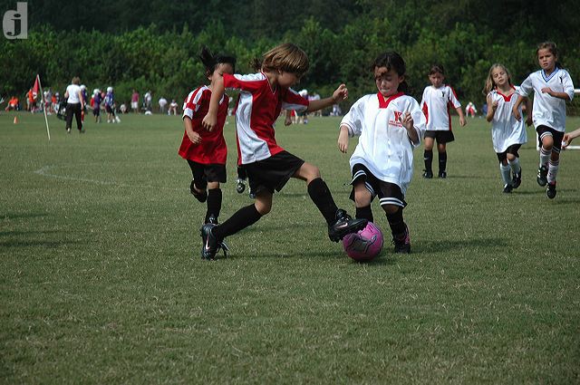 dsc_0737.jpg