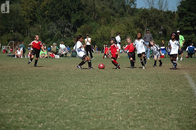 dsc_1482.jpg