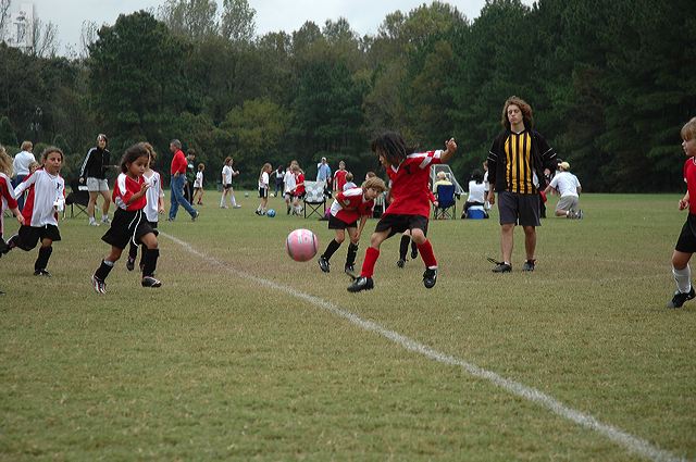 dsc_1666.jpg